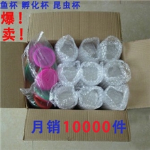 固体氧珠高透明斗鱼杯昆虫杯斗鱼盒孵化杯厂家直销