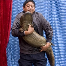 庆龙大鲵科技生产---娃娃鱼成鱼