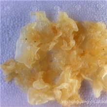 厂家直销生肠干制品