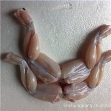 【厂家直销】冰鲜牛蛙后腿优质品