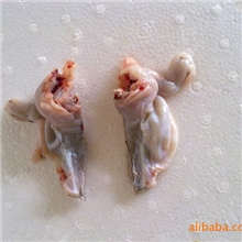 【厂家直销】牛蛙前腿，分半