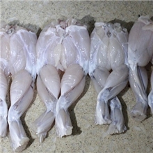 牛蛙肉。牛蛙腿。