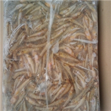 山坑鱼广州清华冻品批发山坑鱼山根鱼河虾