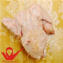 供应鸽子白条，新鲜货超低价