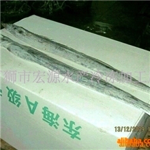 批发冷冻带鱼(图)