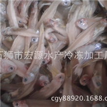 小公鱼侧带小公鱼水产品小鱼冷冻小公鱼冷冻海鲜冷冻水产品