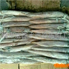 批发船冻印尼鱿鱼水产品冷冻水产品