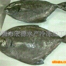 批发冷冻印尼黑鲳(图)