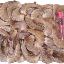 冻去头虾41-50冻去头虾51-60冻去头虾61-70