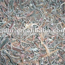 供应新鲜速冻黑木耳条冷冻黑木耳黑木耳量大从优