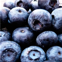 冷冻蓝莓速冻蓝莓新鲜蓝莓量大从优成交价格以最终交谈为准