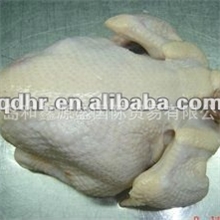 供应新鲜冷冻带骨整鸡冷冻清真带骨整鸡成交价格以最终交谈为准