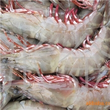 大量批发供应水产品海鲜海虾