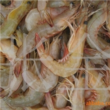 供应水产品海鲜海虾