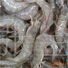 供应海产品海鲜南美白虾