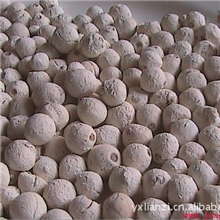 供应优质高档个大白的苏芡米