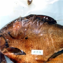 供应无刺武昌鱼(图)