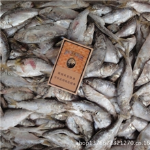 狐狸饲料鱼海鲫鱼海鱼类海鲫鱼鱼价格大连饲料鱼海鲫鱼供应