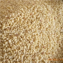 农家自产高粱米