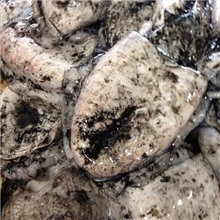 专业供应新鲜淡水墨鱼冷冻墨鱼头冷冻墨鱼批发