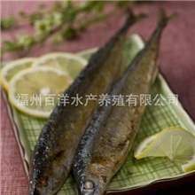 【百洋】烤秋刀鱼花鲐鱼无骨海鳗段日式料理