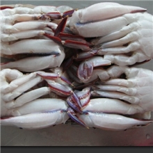 三点蟹切蟹QS认证海魁水产酒店食品