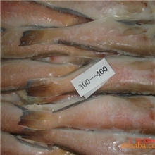 厂家批发/马头鱼/冷冻粗加工水产品/海鲜加工/海产品/批发供应