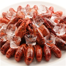 冷冻微波食材速冻麻辣龙虾球香辣龙虾仔超值特惠1KG袋5袋包邮