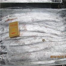 块冻带鱼薄膜隔层板冻1斤3条国产野生带鱼批发无冰衣划算实惠