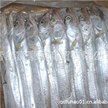 青岛大量批发冷冻刀鱼【图】