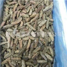 烟台淡干海参、即食海参