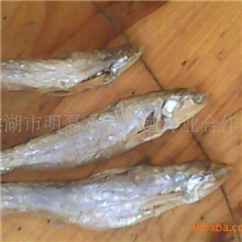 优质供应干制凤尾鱼干