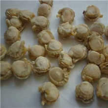 供应干贝北海道产干贝质量保证欢迎来电咨询