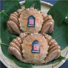 供应毛蟹北海道产毛蟹欢迎来电咨询