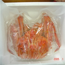 供应帝王蟹北海道产帝王蟹欢迎来电咨询