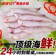 东海新鲜水潺台州鲜活海鲜批发龙头鱼豆腐鱼宝宝辅食肉嫩刺少