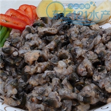 东海野生藤壶新鲜藤壶肉营养极好新鲜海鲜批发鲜活海鲜冲