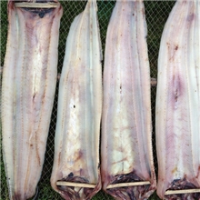 今年新晒台州鳗鲞鳗干淡晒无任何防腐剂不进冷库口感最佳