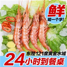 东海野生红头虾红绿头虾台州鲜活海鲜水产品活鲜批发