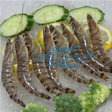 东海野生竹节虾新鲜竹节虾海鲜九节虾新鲜对虾花虾1斤20只