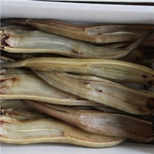 优质鳗鱼干，鳗鲞，海鳗鲞批发，整件批发