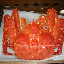 阿拉斯加帝王蟹