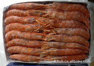 阿根廷野生红虾