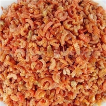 养殖场直销小海米/虾米/金钩海米食品厂/调味料厂原料