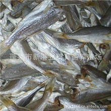 养殖场直销特级梅子鱼干/黄鱼干餐饮/酒店、食品厂原料