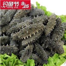 中国钓鱼节金鹏至尊级深海淡干海参50g4-10只7年野生威海刺参