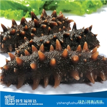 颐生福顺达进口野生即食海参野生刺参500g/8只/盘/盒