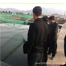 禹盛黑鱼，黑鱼苗