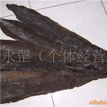 常年供应优质长岛海带昆布淡干海带