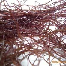 龙须菜，海发菜，石花菜，广东菜，江蓠菜，养殖鲍鱼饵料供应